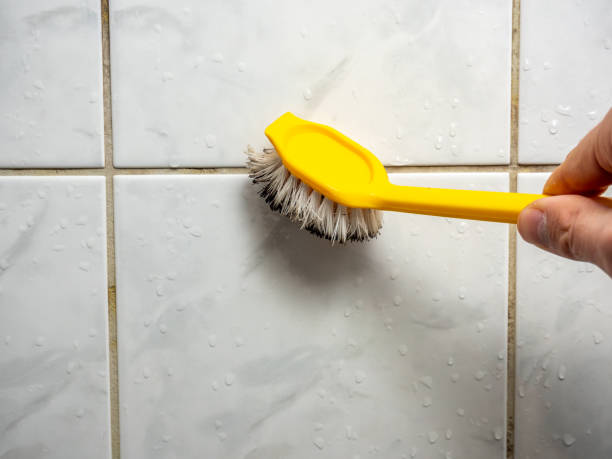 Best Residential Mold Removal  in Elim, PA