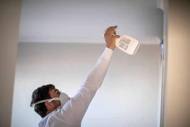 Best Office Mold Removal Services  in Elim, PA
