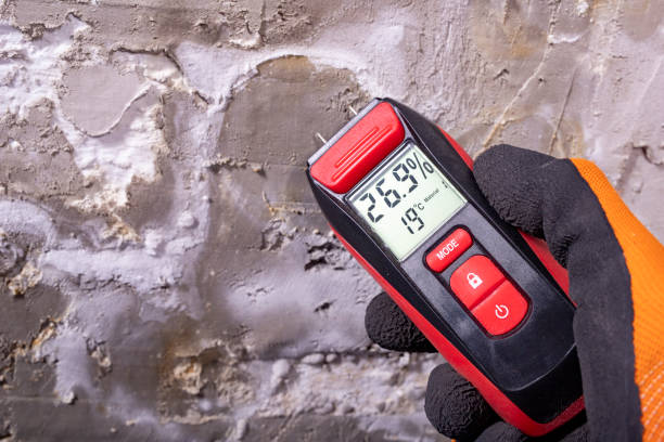 Best Mold Testing  in Elim, PA